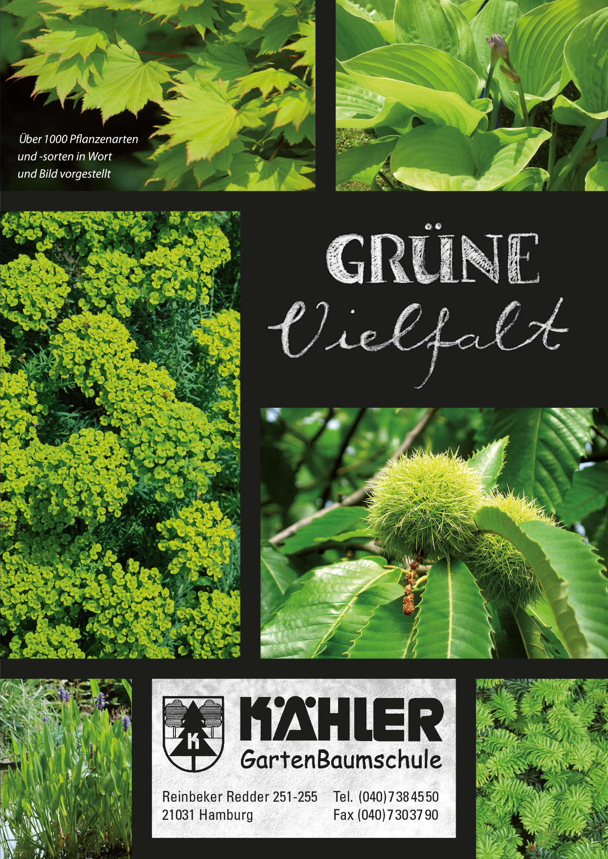 katalog cover